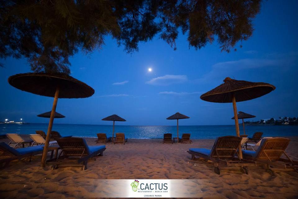 Cactus Beach Paros Logaras Exterior photo