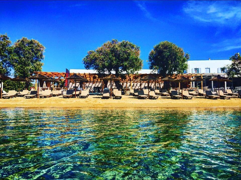 Cactus Beach Paros Logaras Exterior photo